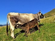 11 Colazione dalla mamma